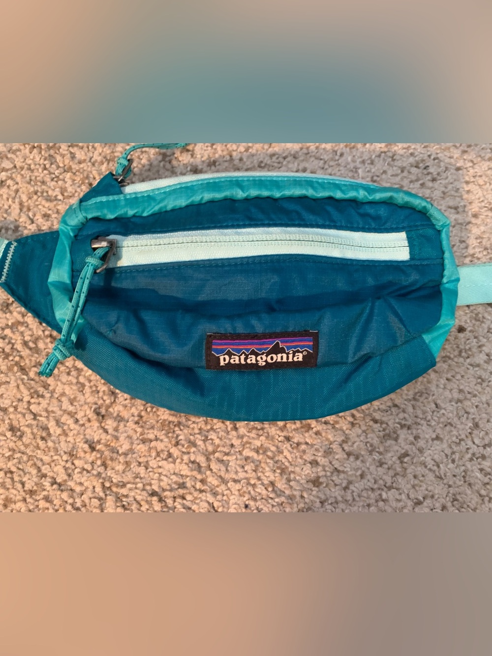 Patagonia Teal and Aqua Hip Pack - Picture 1 of 4
